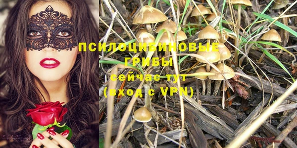 мет Армянск